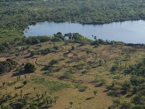 Mysterious Rings of the Amazon